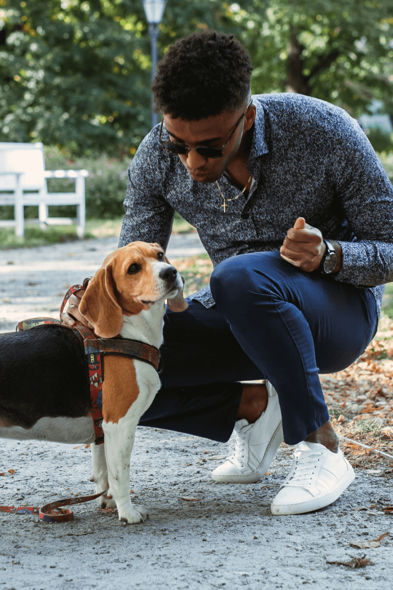 Granatowa koszula męska wzór | Villaro