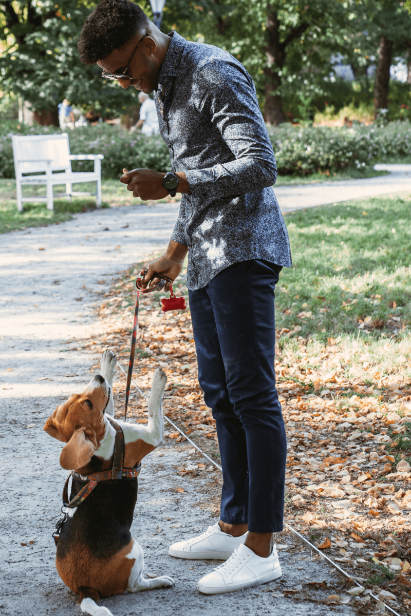 Granatowa koszula męska wzór | Villaro