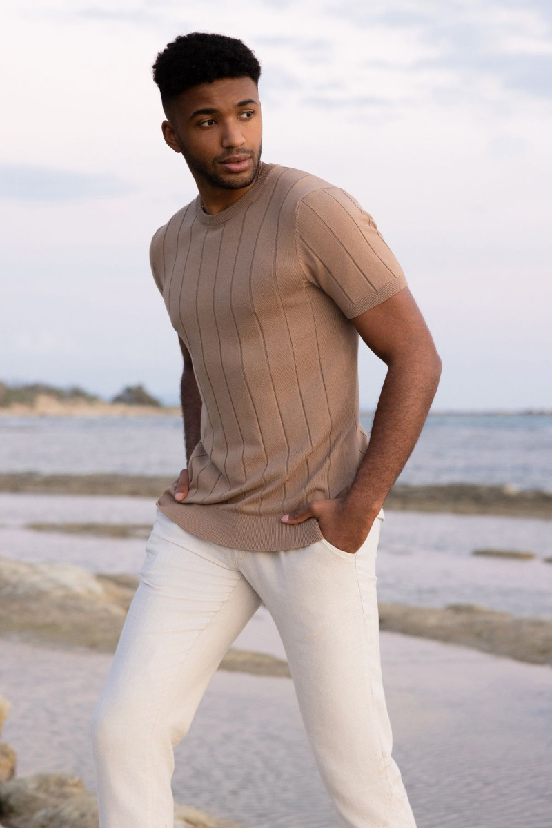 Brązowa koszulka męska t-shirt | Villaro