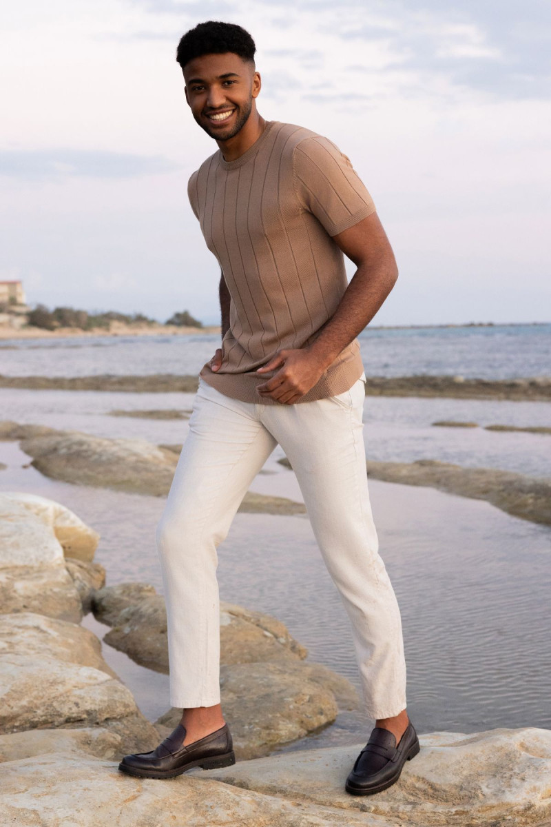 Brązowa koszulka męska t-shirt | Villaro