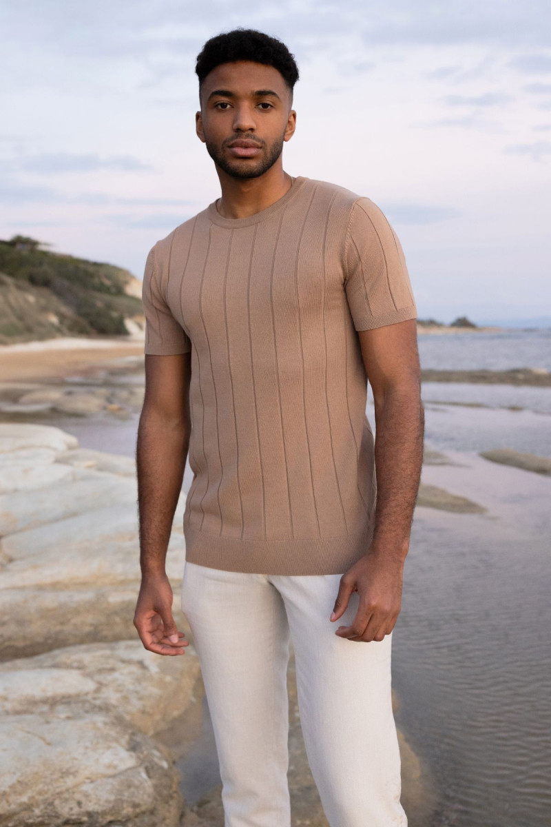 Brązowa koszulka męska t-shirt | Villaro