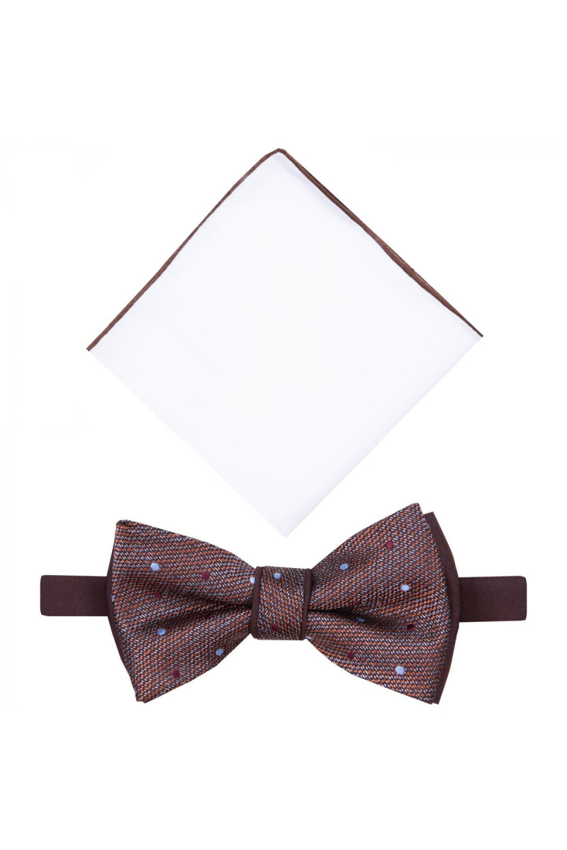 Brązowa mucha męska z białą poszetką w kropki | Villaro