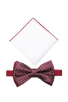 Zestaw białej poszetki z czerwoną muchą | Villaro