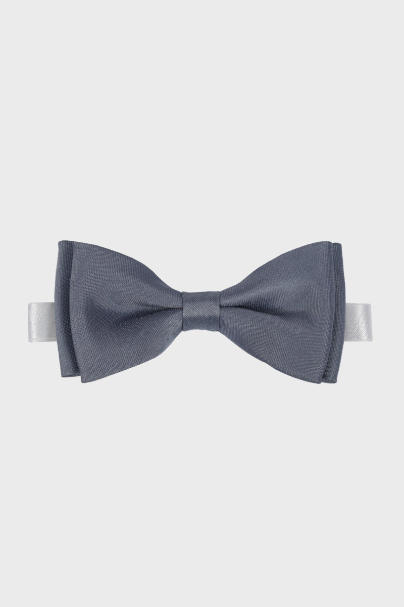 Szara Mucha Chłopięca